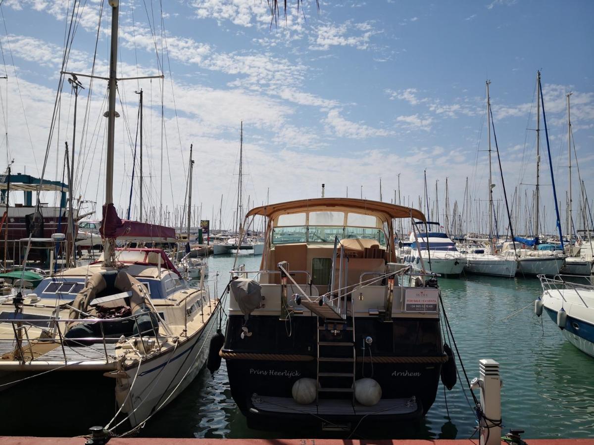 Low Cost Marina Torrevieja Eksteriør bilde